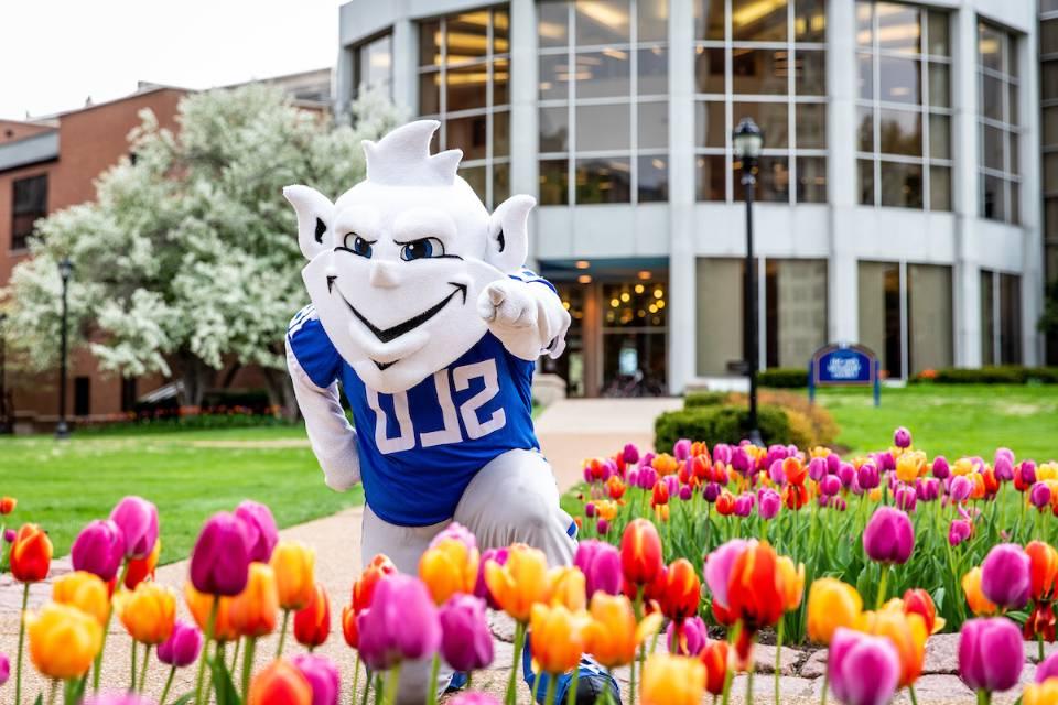 The Billiken standing in the tulips outside of Pius XII Library.